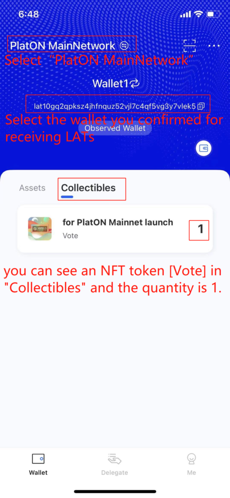 NFT Voting Instructions